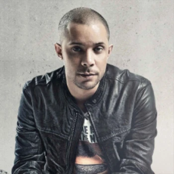 Wildstylez